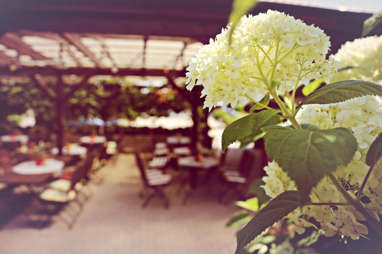 Landhotel Krausnick Kültér fotó